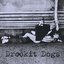 Drookit Dogs