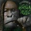 Gorilla Music