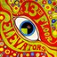 Psychedelic Sounds Of The 13th Floor Elevators