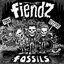 Fossils