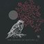 The Sound of Nature 3