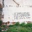 I Believe In Werner Herzog