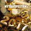 Nytårsfesten 2017