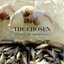 The Chosen: Season One (Original Series Soundtrack)