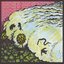 The Official Forecast [Explicit]