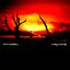 World On Fire