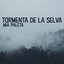 Tormenta de la selva