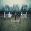 Little Black Soul