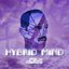 Hybrid Mind