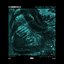Buried In Your Head - Single