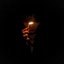 Heart of Fire - Single