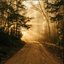 gentle sunbeam.