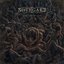 Dominion of Cain - Single