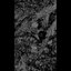 Tətsuo