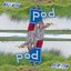 Pod