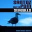 Seagulls