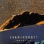 Svanshornet