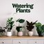 Watering Plants