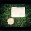 Pasture - Single