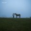 ride away