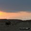 Shades of Dust