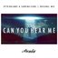 Can You Hear Me (Original Mix)