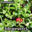 Ideas 2015
