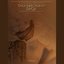 Your Story Interactive: Thunderstorms Saga (Original Game Soundtrack)