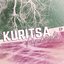 Kuritsa Po-Pekinski