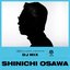 VISION: SHINICHI OSAWA (DJ Mix)