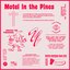 Motel In the Pines