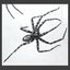 Spiders
