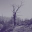 Dust Resonance