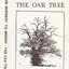 The Oak Tree