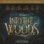 Into The Woods (Original Motion Picture Soundtrack)