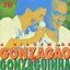 A Viagem de Gonzagão e Gonzaguinha