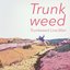 Trunkweed Live, Man