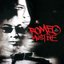 Romeo Must Die: The Album