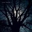 Night Terrors