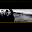 U2 - The Joshua Tree album artwork