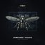 Bumblebee / Exodus