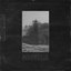 Magnolia - Single