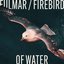 Fulmar / Firebird