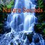 Nature Sounds