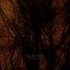 Leaving Home (Remastered)