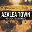 Azalea Town