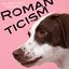 Romanticism - Single