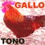 Tono Gallo