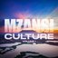 Mzanzi Culture: Vol 1