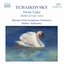 Schwanensee - Swan Lake II-III